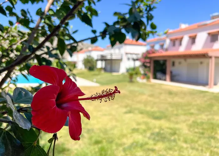 Renthub Villas At Kolympia