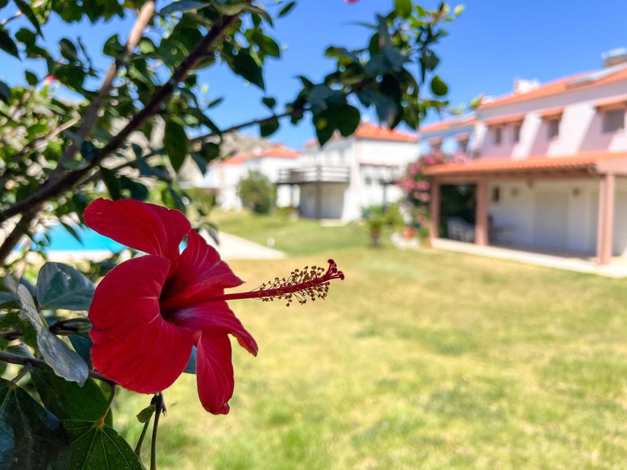 Renthub At Kolympia Villa